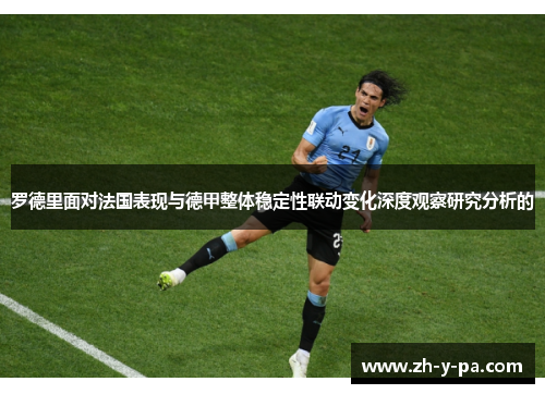 罗德里面对法国表现与德甲整体稳定性联动变化深度观察研究分析的