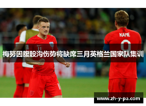 梅努因腹股沟伤势将缺席三月英格兰国家队集训