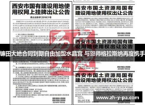 镰田大地合同到期自由加盟水晶宫 与恩师格拉斯纳再度携手